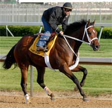 Hard Spun Blazes Five Furlongs in :57 3/5 Hard Spun Blazes Five Furlongs in :57 3/5