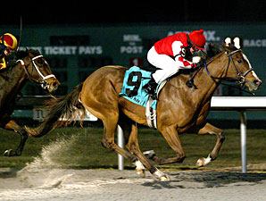 Harlan's Ruby Returns a Winner in Valdale Harlan's Ruby Returns a Winner in Valdale