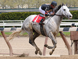 Harlem Rocker To Skip Preakness Harlem Rocker To Skip Preakness