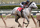 Harlem Rocker Skipping Queen's Plate Harlem Rocker Skipping Queen's Plate