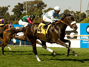 Harmonious Hits Right Note in American Oaks Harmonious Hits Right Note in American Oaks