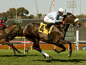 Royal Heroine: Harmonious Back at Hollywood