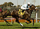 Royal Heroine: Harmonious Back at Hollywood Royal Heroine: Harmonious Back at Hollywood