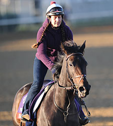 Harmonious Back for More in F&M Turf Harmonious Back for More in F&M Turf
