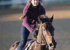 Harmonious Back for More in F&M Turf Harmonious Back for More in F&M Turf