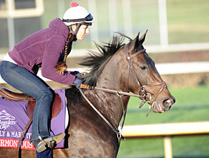 Grade I Winner Harmonious Retired Grade I Winner Harmonious Retired