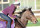 Grade I Winner Harmonious Retired Grade I Winner Harmonious Retired