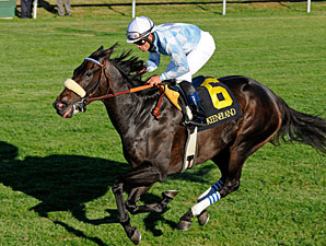 Harmonious Romps in Queen Elizabeth II