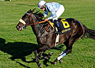 Harmonious Romps in Queen Elizabeth II