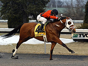 Harry's Holiday Facing Tough Battaglia Crowd Harry's Holiday Facing Tough Battaglia Crowd