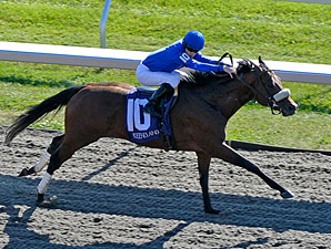 Hatta Fort Gets Up in Perryville Stakes Hatta Fort Gets Up in Perryville Stakes