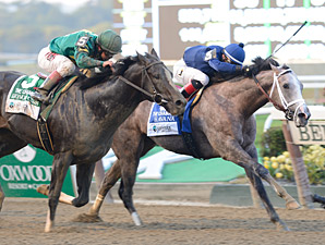 Havana Denies Surging Honor Code in Champagne Havana Denies Surging Honor Code in Champagne