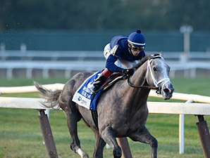 Consignor Has Rooting Interest in Havana Consignor Has Rooting Interest in Havana