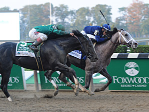 Honor Code to Bypass Breeders' Cup Juvenile Honor Code to Bypass Breeders' Cup Juvenile