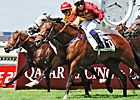 Hannon Strikes with Havana Gold in Jean Prat Hannon Strikes with Havana Gold in Jean Prat