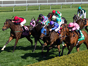Havelock Punches Through to Win Shakertown Havelock Punches Through to Win Shakertown
