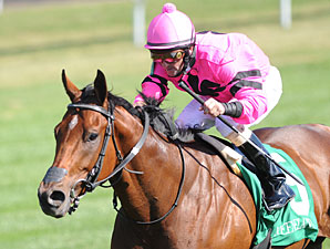 Havelock Runs Down Speed to Claim Woodford Havelock Runs Down Speed to Claim Woodford