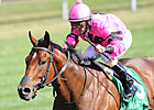 Havelock Runs Down Speed to Claim Woodford