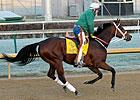 Jones: Havre de Grace to Run Again in 2012