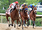Havre de Grace Picks Off Apple Blossom