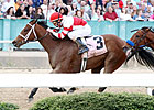 Hammer Time: Dillman's Breeding Success