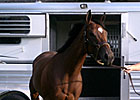 Havre de Grace to Face Seven in Woodward Havre de Grace to Face Seven in Woodward
