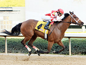 Apple Blossom: Havre de Grace Seeks GI Win