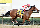 Apple Blossom: Havre de Grace Seeks GI Win Apple Blossom: Havre de Grace Seeks GI Win