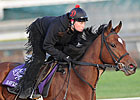Havre de Grace Seeks Repeat Over Blind Luck
