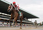 Beldame: Havre de Grace Destroys Royal Delta