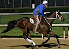 Havre de Grace Works 5 Furlongs at Churchill