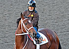 Havre de Grace Breezes Half Mile Havre de Grace Breezes Half Mile