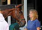 Azeri the Starting Point for Havre de Grace