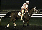 A Pre Pre-Entries Look at Breeders' Cup Odds A Pre Pre-Entries Look at Breeders' Cup Odds