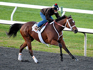 Havre de Grace in Smooth Work at Keeneland Havre de Grace in Smooth Work at Keeneland