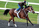 Havre de Grace Breezes, Set for 2012 Debut Havre de Grace Breezes, Set for 2012 Debut