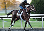 Breeders' Cup Pre-Entries: Star Appeal