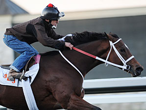 Havre de Grace Drills Bullet at Fair Grounds Havre de Grace Drills Bullet at Fair Grounds