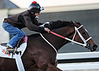 Havre de Grace Drills Bullet at Fair Grounds Havre de Grace Drills Bullet at Fair Grounds