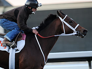 Havre de Grace Breezes Five Furlongs at FG Havre de Grace Breezes Five Furlongs at FG