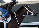 Havre de Grace Breezes Five Furlongs at FG