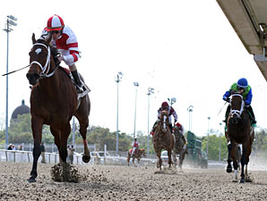Havre de Grace Breezes, to Ship to Oaklawn Havre de Grace Breezes, to Ship to Oaklawn