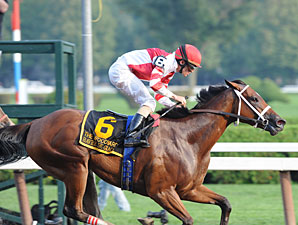 Racing Fans Vote Havre de Grace HOY Racing Fans Vote Havre de Grace HOY