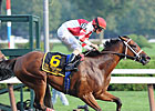 Racing Fans Vote Havre de Grace HOY Racing Fans Vote Havre de Grace HOY