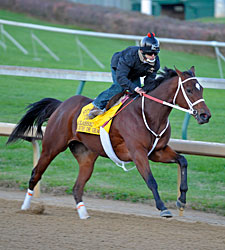 'Grace' Works Five Furlongs in Final Prep 'Grace' Works Five Furlongs in Final Prep