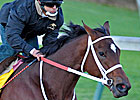 'Grace' Works Five Furlongs in Final Prep