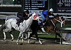 Havre de Grace, Joyful Victory Work Together