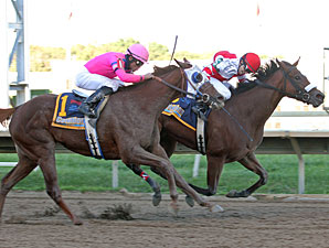 Havre de Grace Nips Blind Luck in Cotillion Havre de Grace Nips Blind Luck in Cotillion