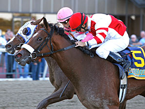 Havre de Grace Gets Serious for Azeri Return Havre de Grace Gets Serious for Azeri Return