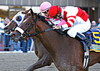 Havre de Grace Gets Serious for Azeri Return Havre de Grace Gets Serious for Azeri Return